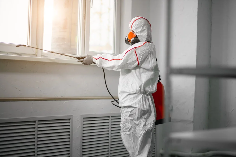 Professional mold remediation services in Marne, MI